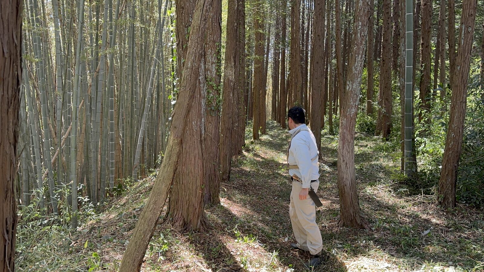 森を歩くフィールドワーク