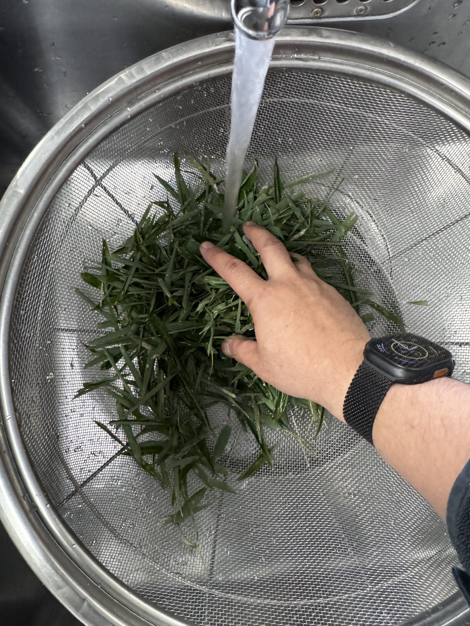 竹葉を洗う